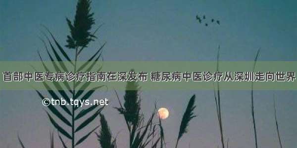 首部中医专病诊疗指南在深发布 糖尿病中医诊疗从深圳走向世界