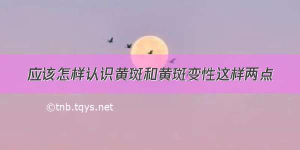 应该怎样认识黄斑和黄斑变性这样两点