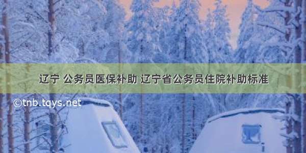 辽宁 公务员医保补助 辽宁省公务员住院补助标准