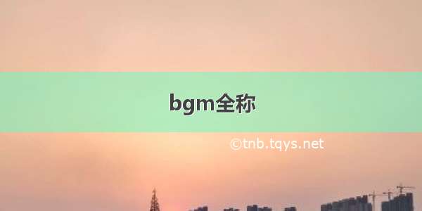 bgm全称