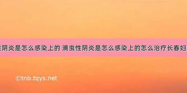 滴虫性阴炎是怎么感染上的 滴虫性阴炎是怎么感染上的怎么治疗长春妇科医院