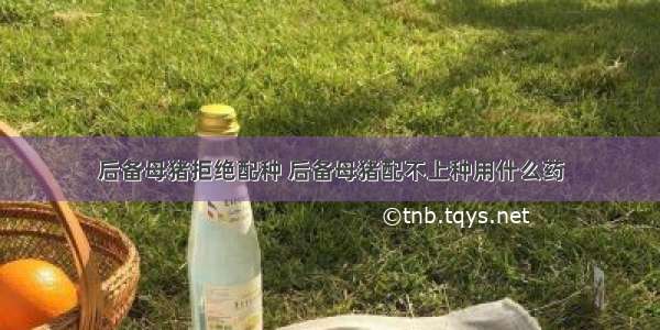 后备母猪拒绝配种 后备母猪配不上种用什么药