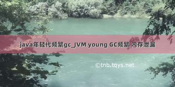 java年轻代频繁gc_JVM young GC频繁 内存泄漏