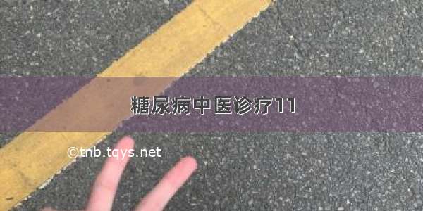 糖尿病中医诊疗11