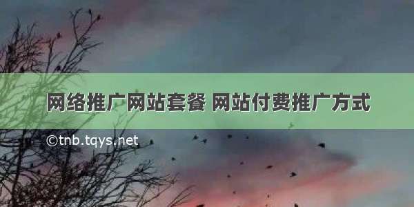 网络推广网站套餐 网站付费推广方式