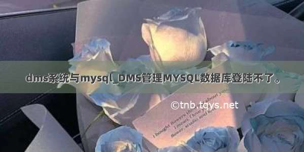 dms系统与mysql_DMS管理MYSQL数据库登陆不了。