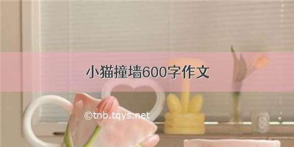 小猫撞墙600字作文