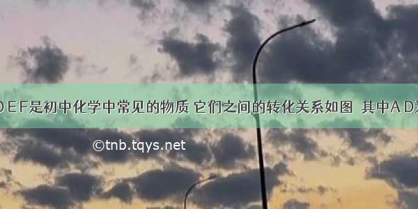 A B C D E F是初中化学中常见的物质 它们之间的转化关系如图．其中A D为单质 