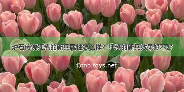 炉石传说狂热的新兵属性怎么样？狂热的新兵效果好不好