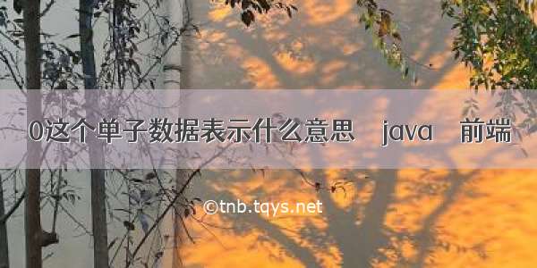 0这个单子数据表示什么意思 – java – 前端