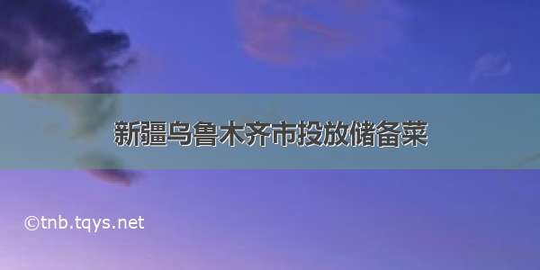 新疆乌鲁木齐市投放储备菜