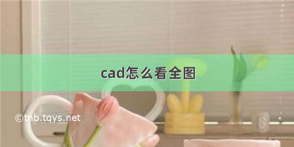 cad怎么看全图