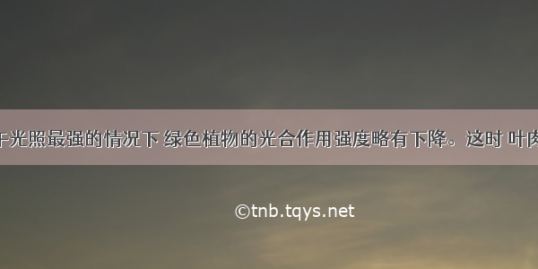 在夏季中午光照最强的情况下 绿色植物的光合作用强度略有下降。这时 叶肉细胞内的 