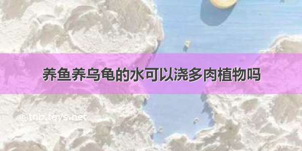 养鱼养乌龟的水可以浇多肉植物吗