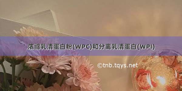 浓缩乳清蛋白粉(WPC)和分离乳清蛋白(WPI)