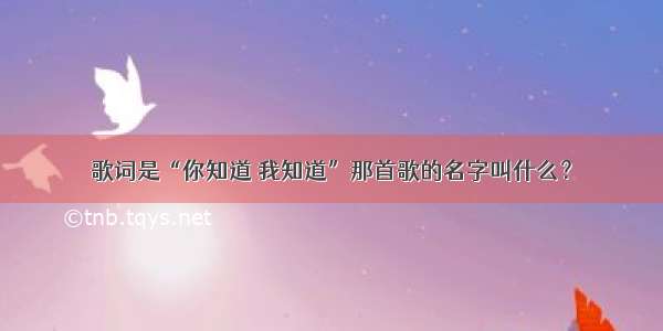 歌词是“你知道 我知道”那首歌的名字叫什么？