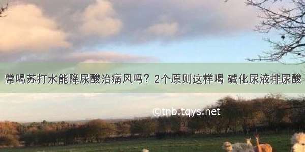 常喝苏打水能降尿酸治痛风吗？2个原则这样喝 碱化尿液排尿酸