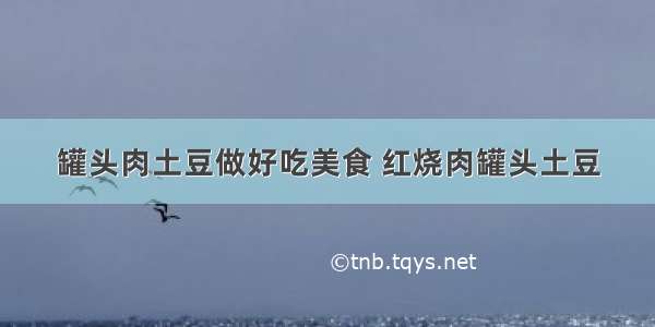 罐头肉土豆做好吃美食 红烧肉罐头土豆