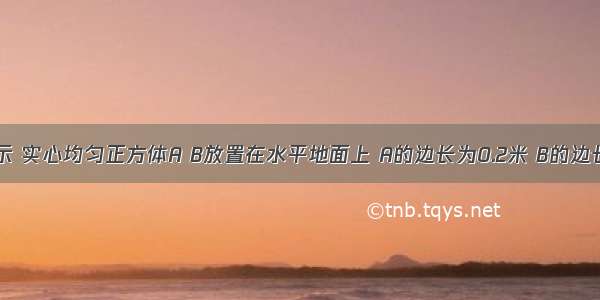 如图甲所示 实心均匀正方体A B放置在水平地面上 A的边长为0.2米 B的边长为0.3米 