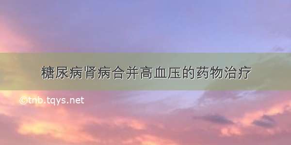 糖尿病肾病合并高血压的药物治疗