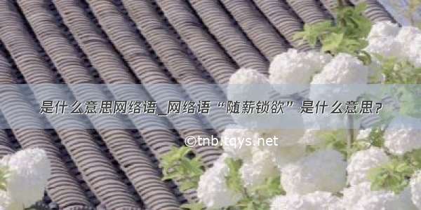 是什么意思网络语_网络语“随薪锁欲”是什么意思？