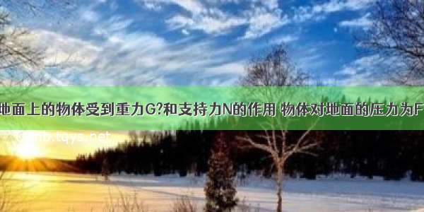 静止在水平地面上的物体受到重力G?和支持力N的作用 物体对地面的压力为F 则以下说法