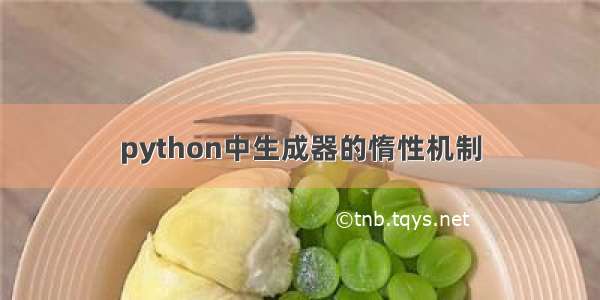 python中生成器的惰性机制