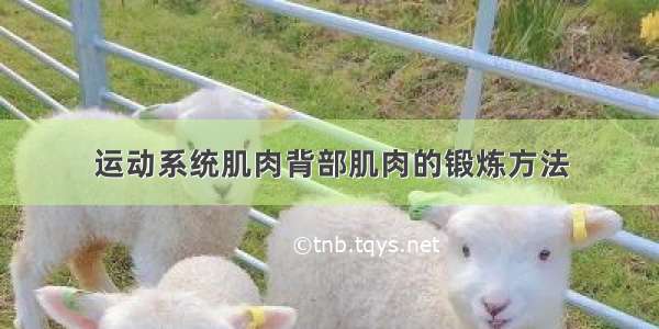 运动系统肌肉背部肌肉的锻炼方法