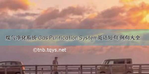 煤气净化系统 Gas Purification System英语短句 例句大全