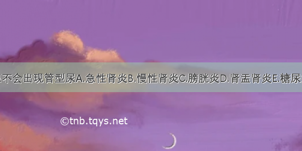 下列哪种疾患不会出现管型尿A.急性肾炎B.慢性肾炎C.膀胱炎D.肾盂肾炎E.糖尿病肾病ABCDE