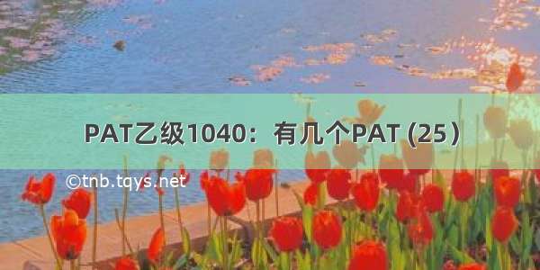 PAT乙级1040：有几个PAT (25）