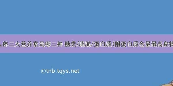 人体三大营养素是哪三种 糖类/脂肪/蛋白质(附蛋白质含量最高食物)