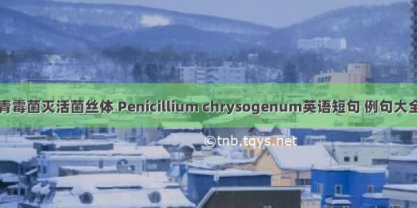 青霉菌灭活菌丝体 Penicillium chrysogenum英语短句 例句大全