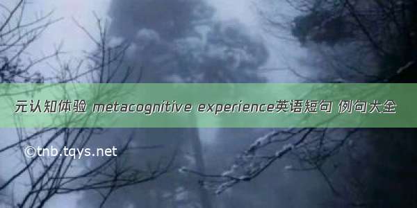 元认知体验 metacognitive experience英语短句 例句大全