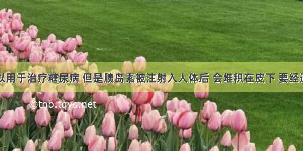 胰岛素可以用于治疗糖尿病 但是胰岛素被注射入人体后 会堆积在皮下 要经过较长的时