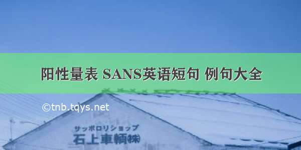 阳性量表 SANS英语短句 例句大全