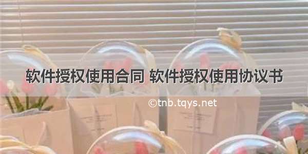 软件授权使用合同 软件授权使用协议书