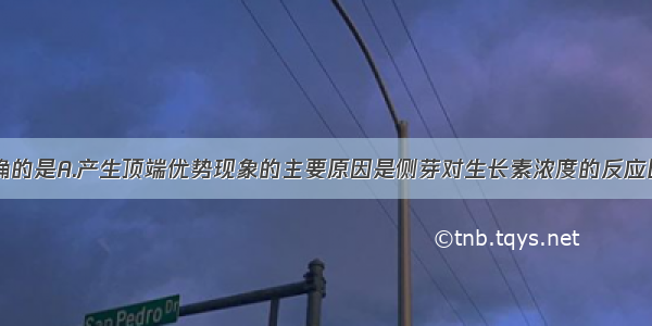 下列说法正确的是A.产生顶端优势现象的主要原因是侧芽对生长素浓度的反应比顶芽敏感B.