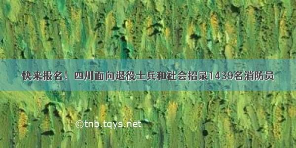 快来报名！四川面向退役士兵和社会招录1439名消防员