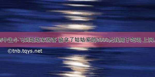 单选题初中生小飞到姑姑家做客 偷拿了姑姑家的2000元钱用于吃喝 上网。姑姑向