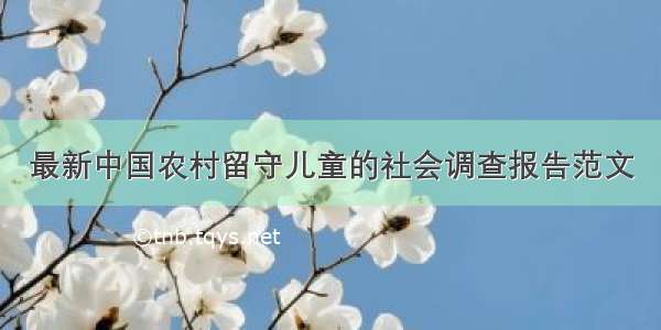 最新中国农村留守儿童的社会调查报告范文