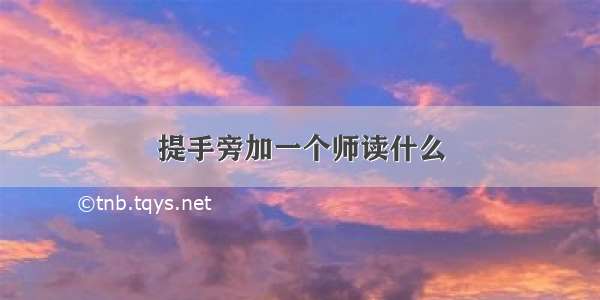 提手旁加一个师读什么