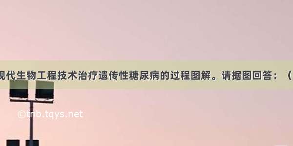 下图是利用现代生物工程技术治疗遗传性糖尿病的过程图解。请据图回答：（1）图中②所