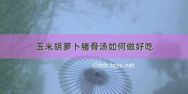 玉米胡萝卜猪骨汤如何做好吃