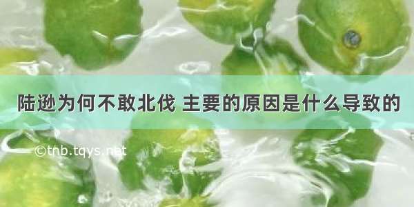 陆逊为何不敢北伐 主要的原因是什么导致的