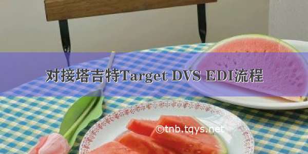 对接塔吉特Target DVS EDI流程