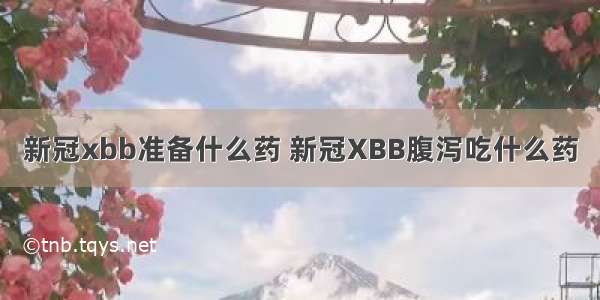 新冠xbb准备什么药 新冠XBB腹泻吃什么药