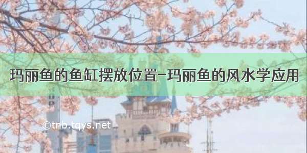 玛丽鱼的鱼缸摆放位置-玛丽鱼的风水学应用