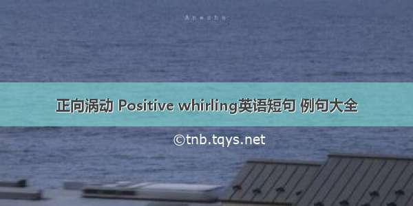 正向涡动 Positive whirling英语短句 例句大全