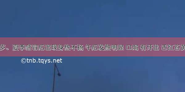 某男 24岁。夏季感冒后出现身热不扬 午后发热明显 口渴 有汗出 舌红苔黄腻 脉濡